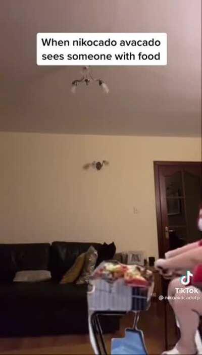 yeah...I don't under stand my son's humor , I think he has problems he just send me this