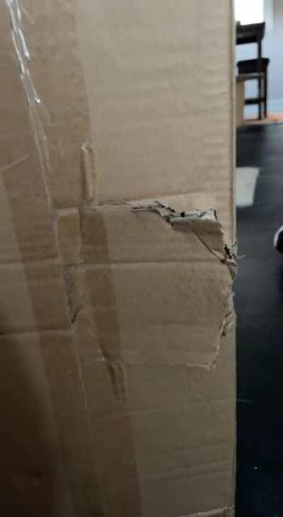 Not in the mood 😂😾😂