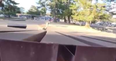 “Who are we hiding from again?”