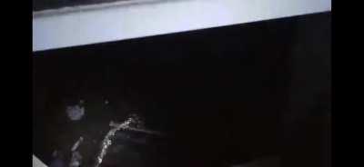 Void gwerb benadryld's simul5ation sh