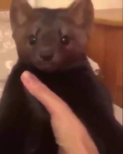 sicK fUCk kiLlS deFenSlESs cReatUre