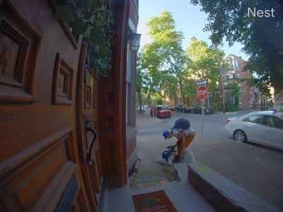 That explains where the dog bowl went. 