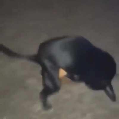 🗣SEXOOOOOOOOOOO!!!