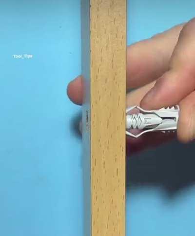 What are they called?