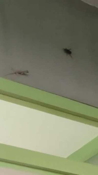 Remember who the real enemy is