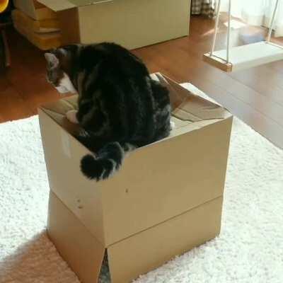 Senator Organa poor parking skills