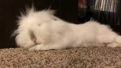 Time for some snoozin