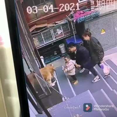 Could you bring the cat inside, he's blocking the front door