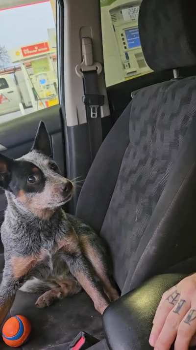 Athena is confounded by my magic! 