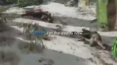 Never new Stone was into kinky stuff