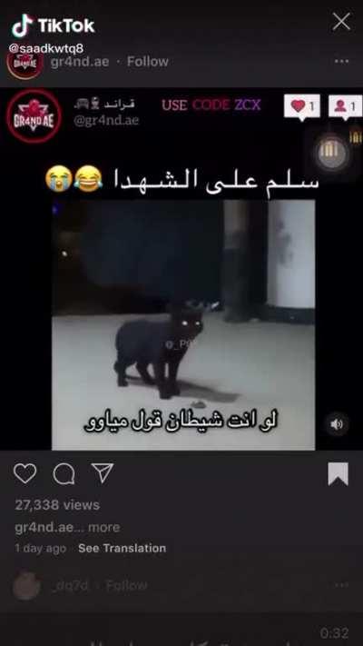 ميااوو