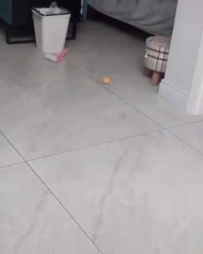 Complete and utter chaos