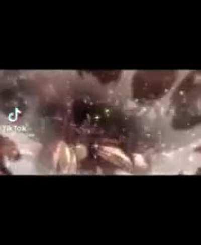 I'm 15 and this is yeet