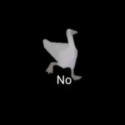 To the 4 people that see this