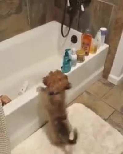 Ты ж смотри, какой я молодец.