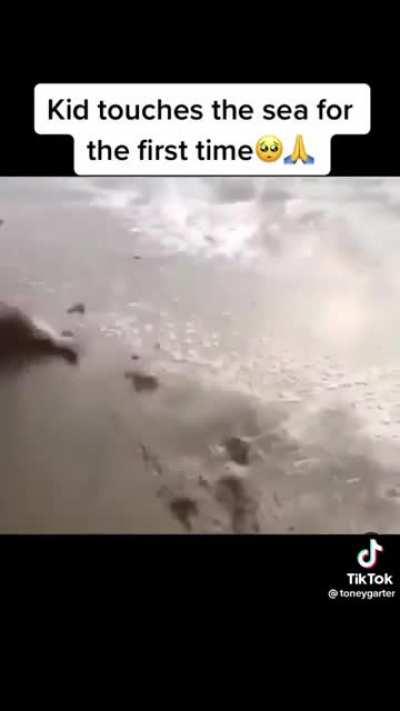 first time at the sea