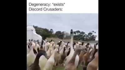 Ducking Deus Vult