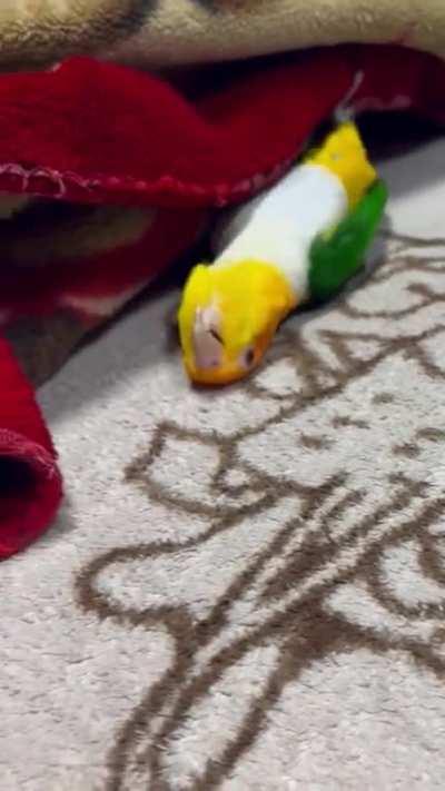 Me when the guests have left: