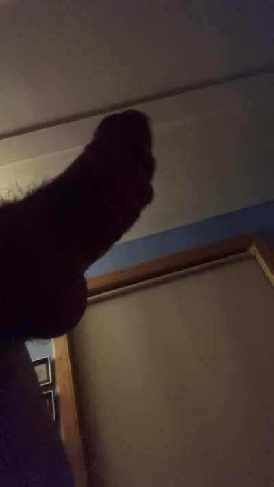 Scared of your own shadow? 😱