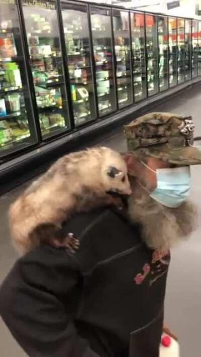 Saw this guy yesterday at Wally World