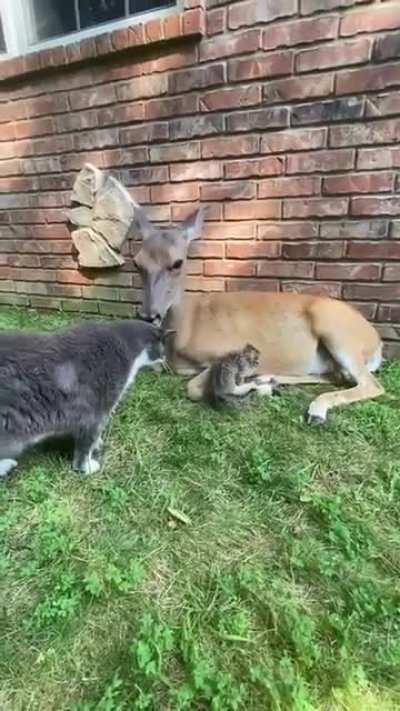 A unique group of friends