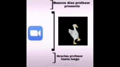 Buenos días profesor presente 😎