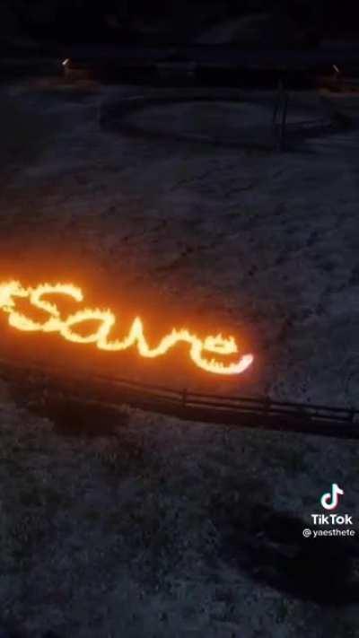 SAVE RED DEAD ONLINE