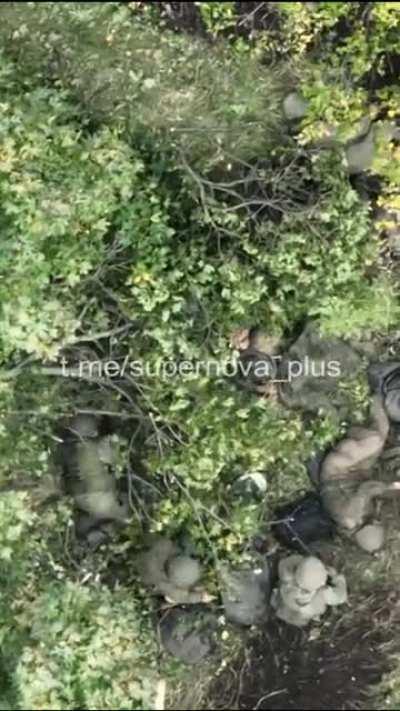 Multiple russian dead/wounded soldiers after another UAF drone dropped attack