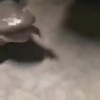 How I'm coping with next year