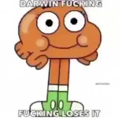 stolen from @pablothinghouse off twitter