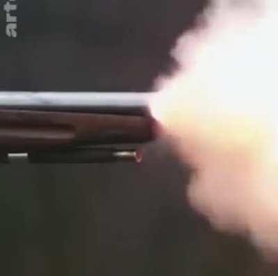 Musket VS plate armour