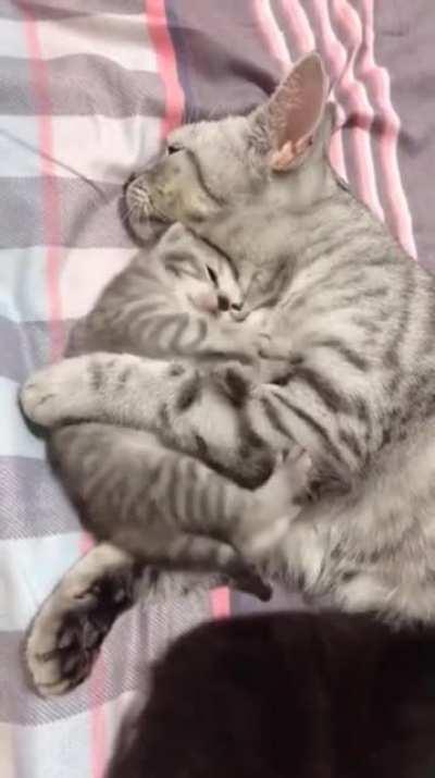 Mama!!! I don't wanna take a nap