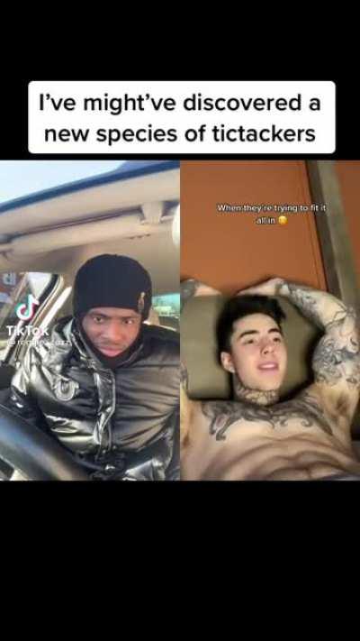 They get too comfortable on tik tok