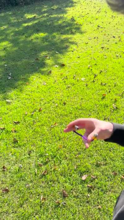 Trying out some different camera angles