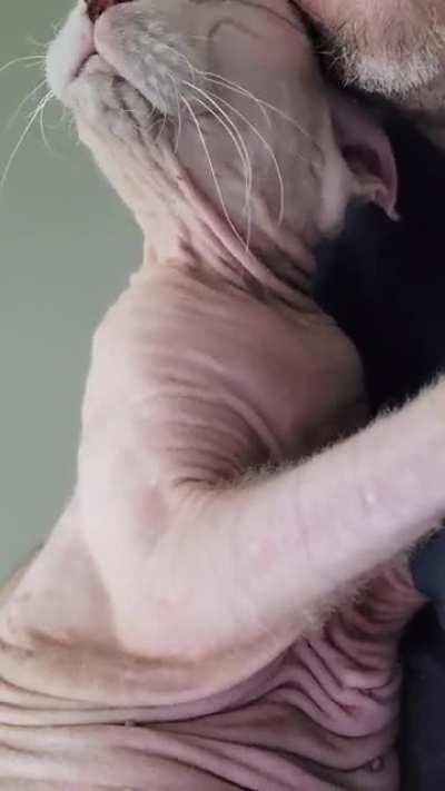 His purr is so soothing. Sound on.