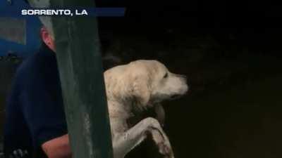 Sorry buddy, you have to get off the boat