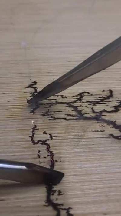 Nikola Tesla Portrait made with electricity [Artist: Zack Smithey]