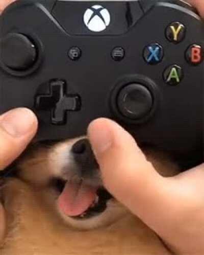 MaN BRutAlly tuRns DoG iNto CybOrg fOr PleaSure