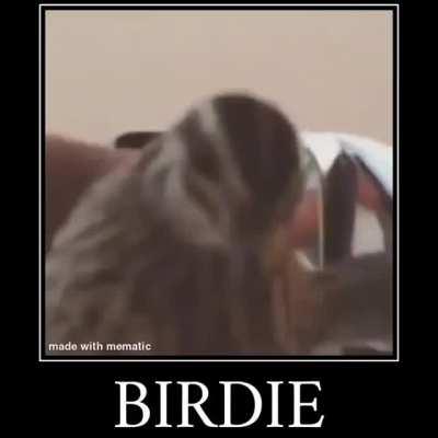 BIRDIE