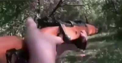 Yo cuando veo un grupo de haters del Moai