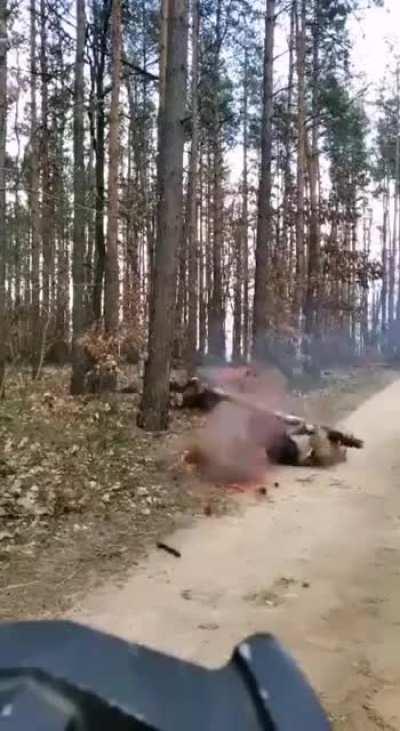 2 Guys attempting to break a tree.