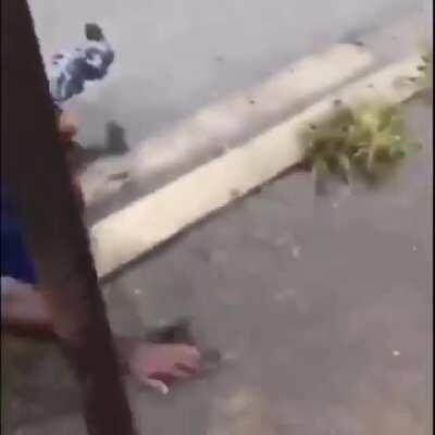 This guy does a good fish impression