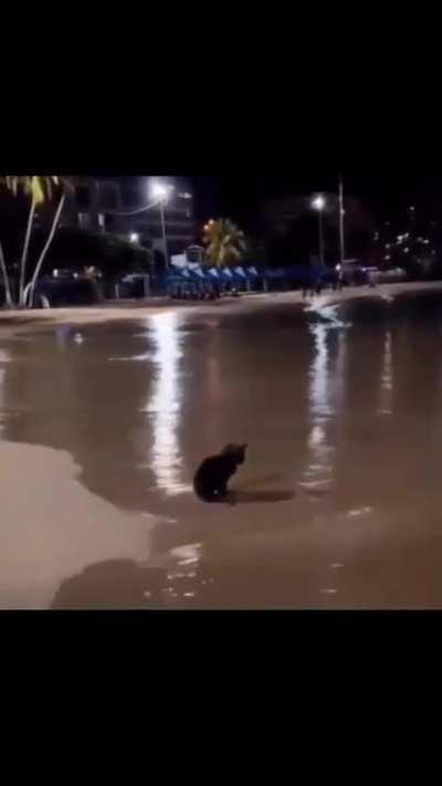 Wunk thinking about life