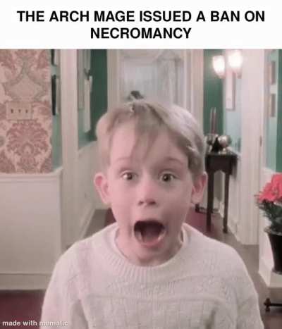 This will greatly effect the fate of the mages guild