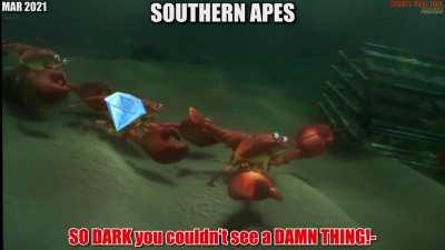 ❗🔎 “FINDING GME:” A Professionally Voice Acted and Edited GME Meme RECAPPING The Last 5 MONTHS Of the Apes’ UNBREAKABLE HODL 🦍🦍🦍💎🙌 Welcome Back DFV❗