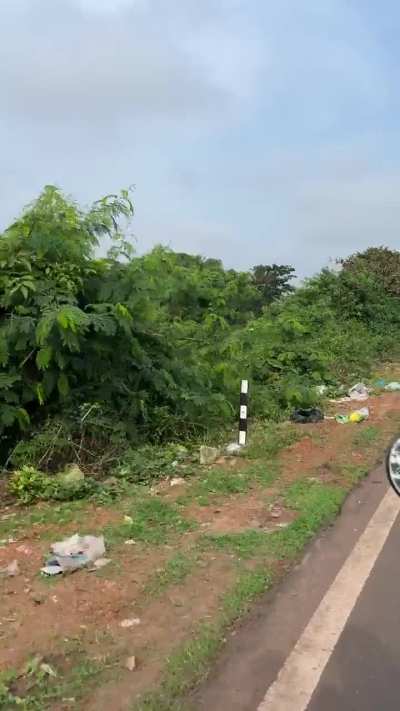 Seriously what’s wrong with people who throw trash on Arlem bypass.