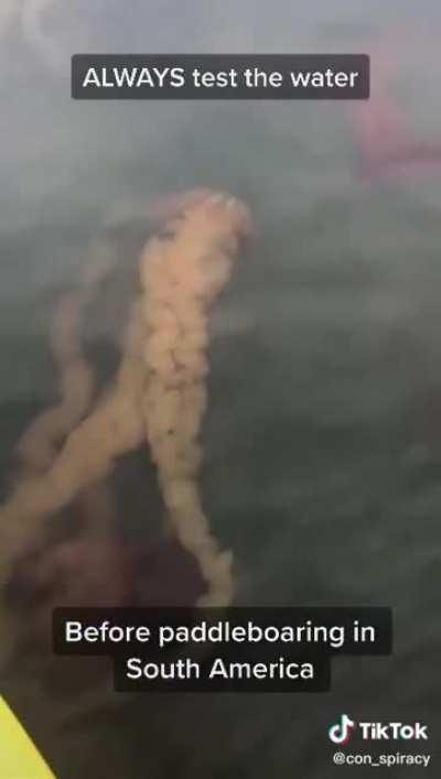 I wouldn’t want to be this person.