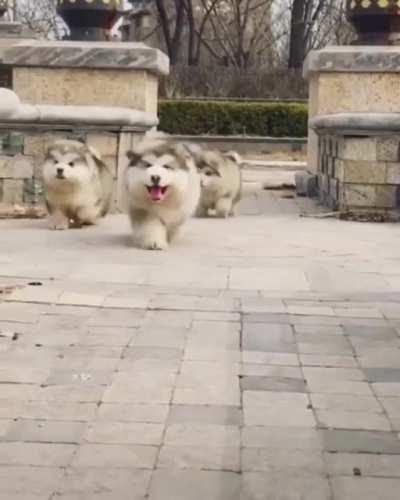 Cuteness Overloaded.