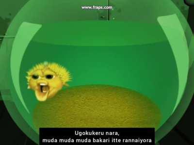 Fugo Fish might be Dio, they look similar