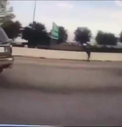 Being chased and tackled by the police on the highway ends like you think it would